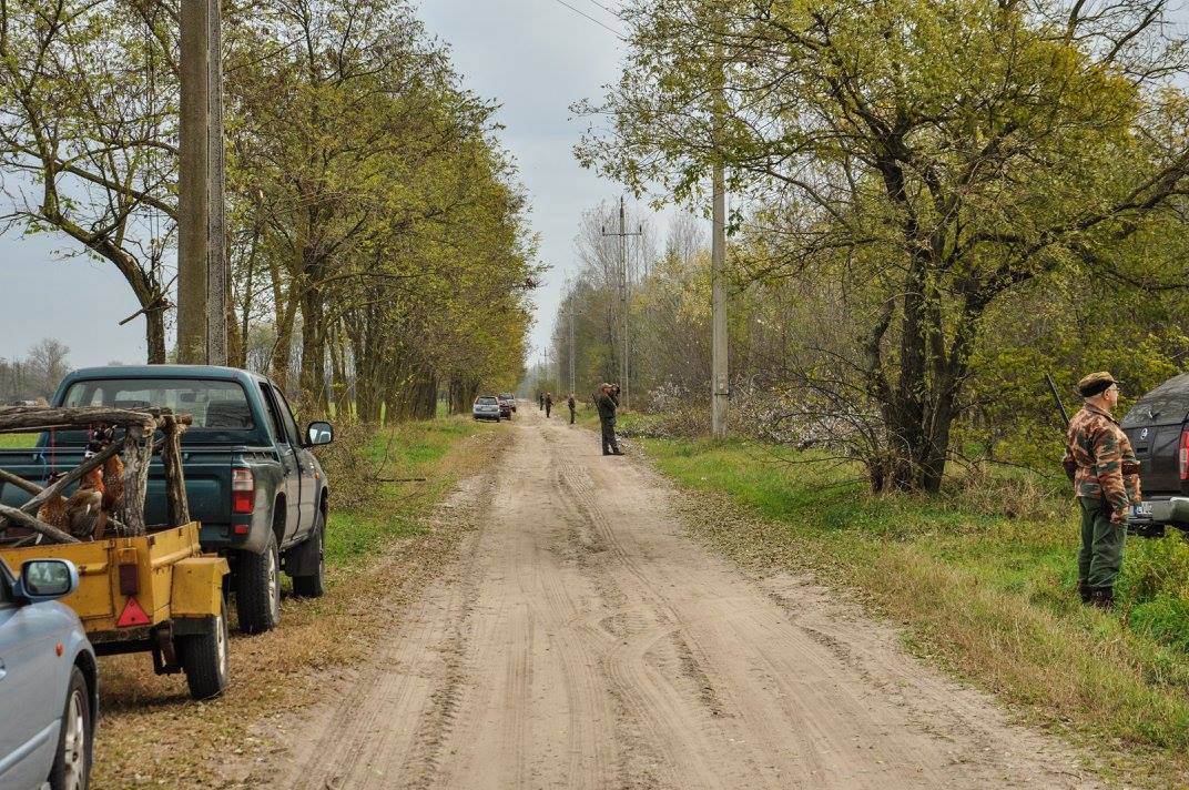hajtás45